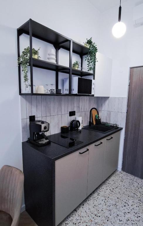 Lion Apartments - Premium Studio With Balcony كراكوفيا المظهر الخارجي الصورة