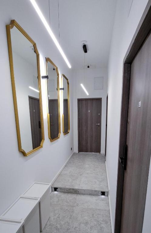 Lion Apartments - Premium Studio With Balcony كراكوفيا المظهر الخارجي الصورة